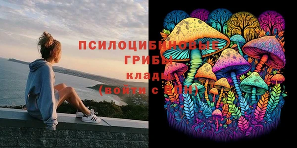 ГАЛЛЮЦИНОГЕННЫЕ ГРИБЫ Надым