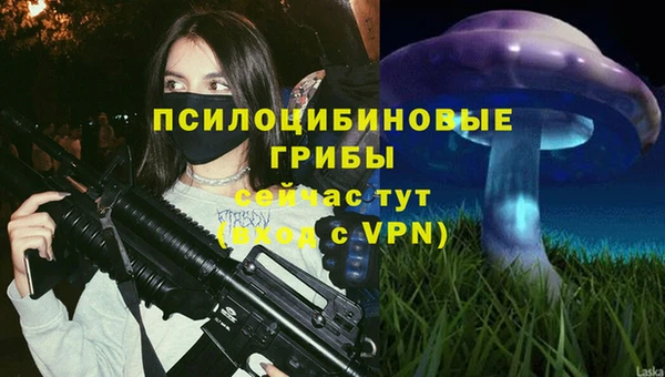 ГАЛЛЮЦИНОГЕННЫЕ ГРИБЫ Надым