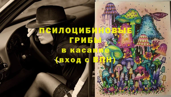 ГАЛЛЮЦИНОГЕННЫЕ ГРИБЫ Надым