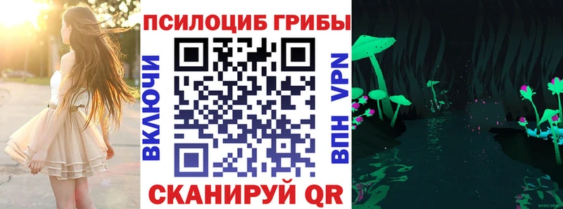 даркнет сайт  Назрань  Псилоцибиновые грибы Psilocybe 