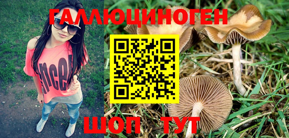 Назрань  Псилоцибиновые грибы GOLDEN TEACHER  Вход с VPN 