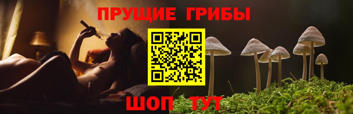 купить закладку  Галлюциногенные грибы Psilocybe  Назрань  Галлюциногенные грибы мухоморы 